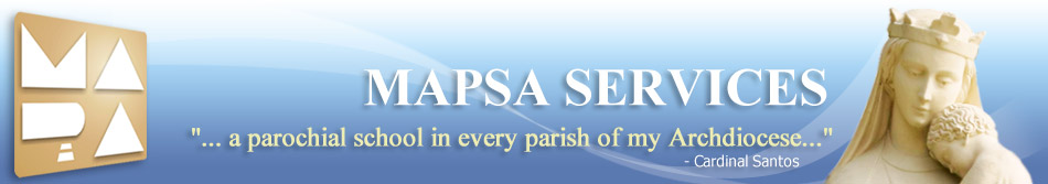 mapsa services